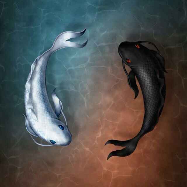 ű