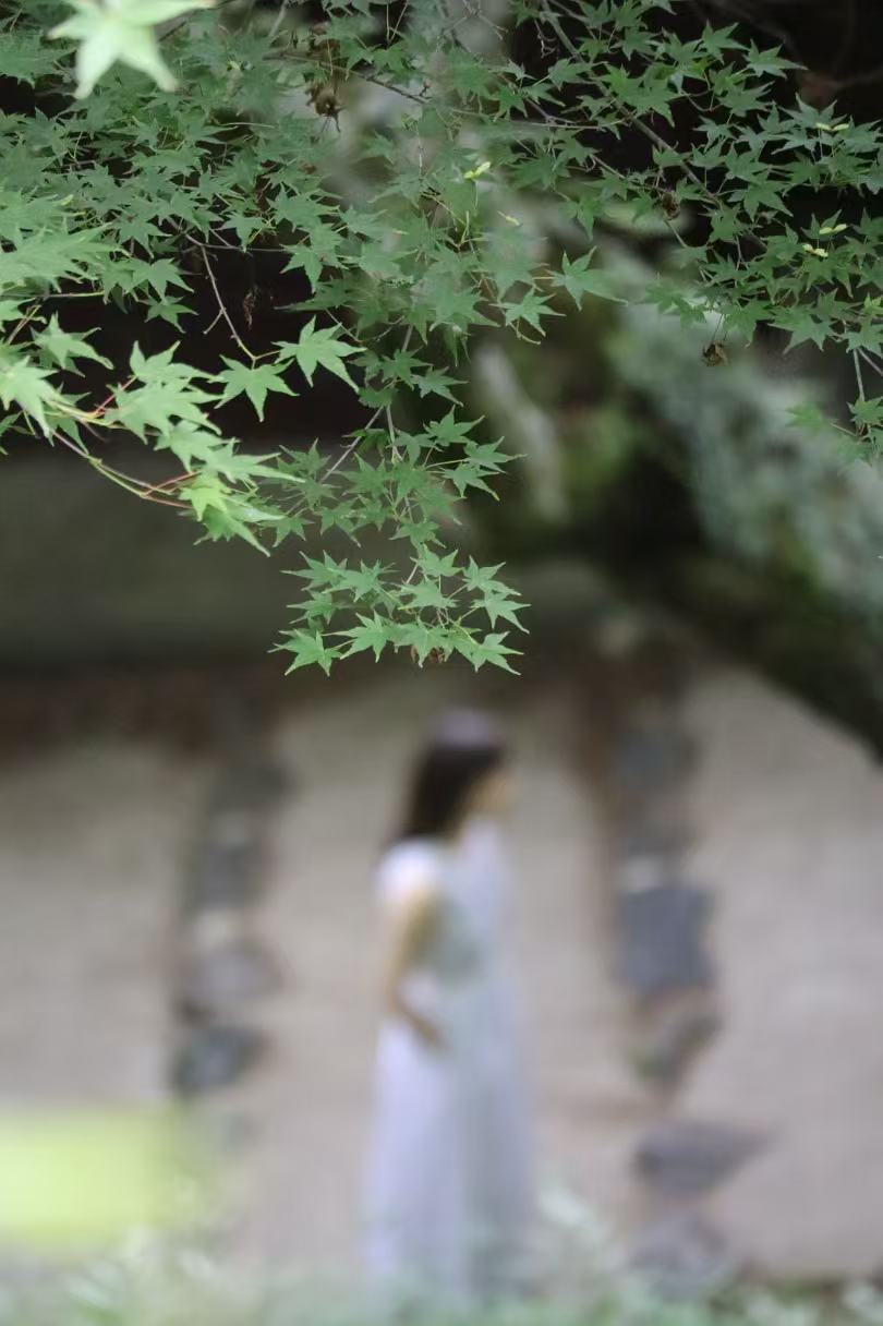 谷有芳